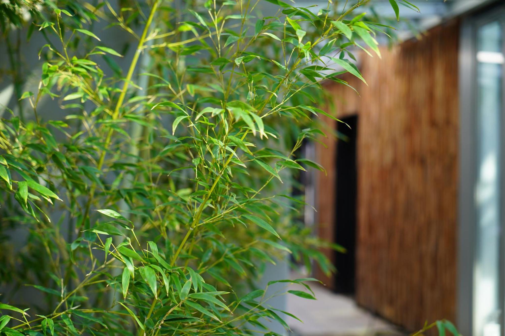 Sly Berlin Hotel ภายนอก รูปภาพ Bamboo